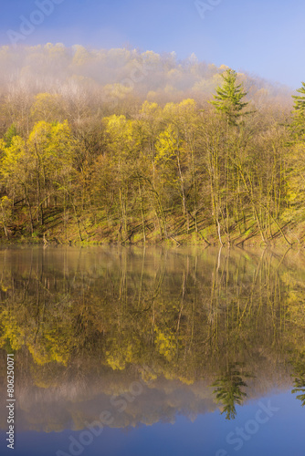 A Foggy Pond In The Woods During Spring Scenic Landscape