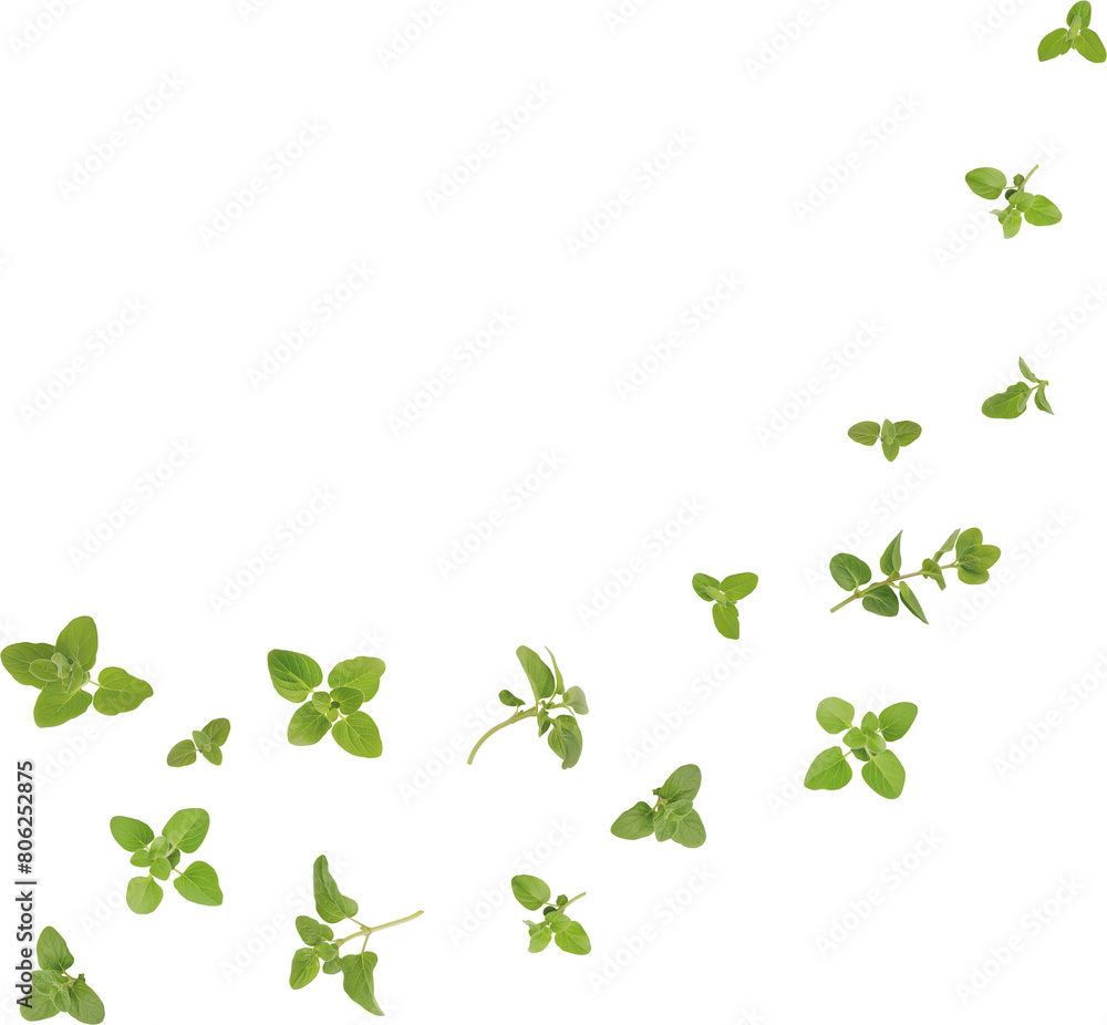 falling oregano leaves falling oregano leaves