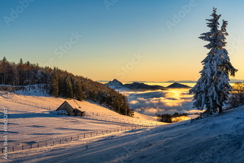 Schweiz, Baselland, Baselbiet, Waldenburg, Wasserfallen, Region Wasserfallen, Chellenchöpli, Hinteri Egg, Waldweid, Waldweide, Winter

