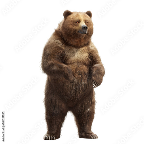 Brown Bear Standing Isolated on transparent Background