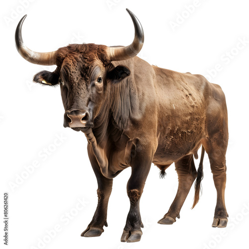 Majestic Bull Horns Isolated on transparent Background Standing