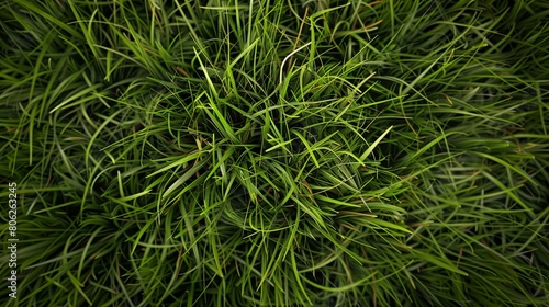 texture of a field with a green grass AI generation. photo