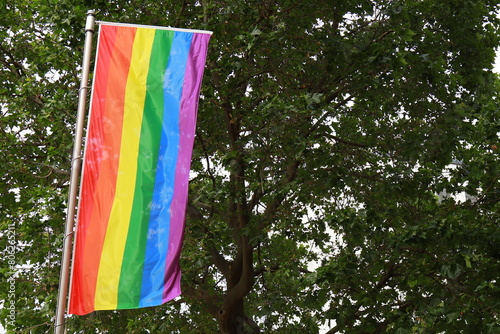 LGBT organization realistic flag includes lesbian, gay, bisexual and transgender people. Gay pride rainbow flag