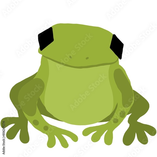 słodka żaba