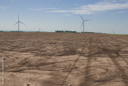 severe wind erosion on a field of corn