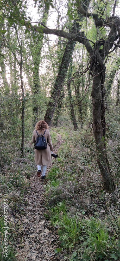 woman walking between trees in the forest woman walking between trees in the forest