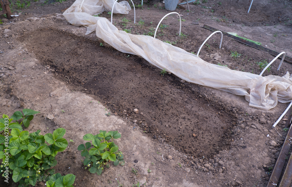 Soil preparation dug bed no weeds