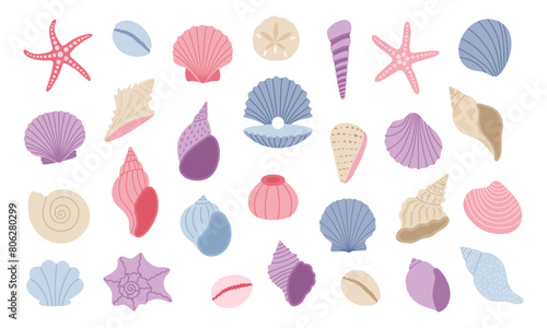 Cute seashell, starfish, clam. Sea shell set. Hand drawn vector illustration isolated on white background