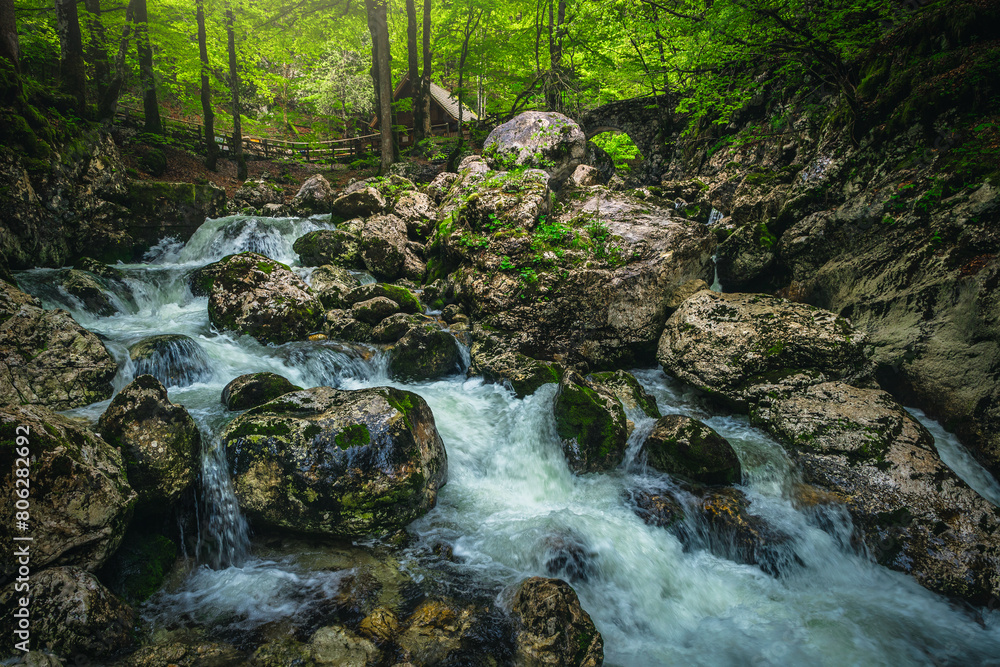 Creek with cascades in the green forest, Slovenia Creek with cascades in the green forest, Slovenia