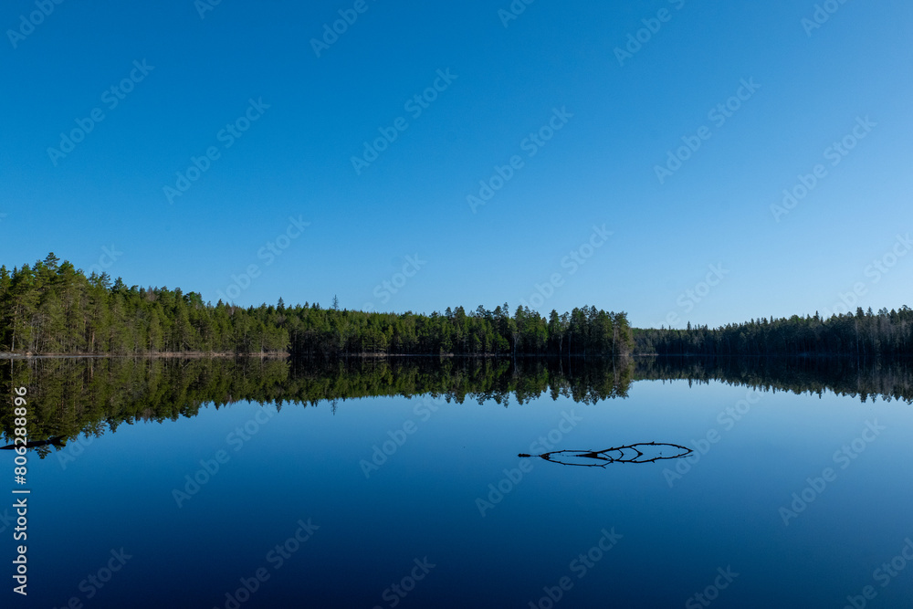beautiful lake scenery. water mirroring the forest. beautiful lake scenery. water mirroring the forest.