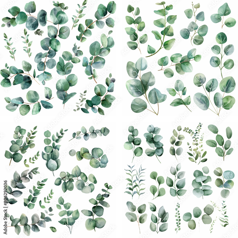 Fototapeta premium invitation painting silver herb print watercolor wedding greenery greeting herbal elegant exotic 
