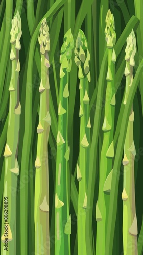 Eye-catching vector illustration of stylized green asparagus spears  suitable for use in food blogs  dietary guides  and agricultural marketing