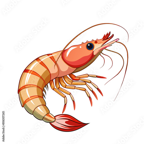 Red cooked shrimp or prawns isolated on white background