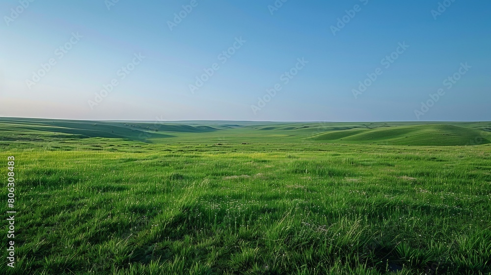 Vast green rolling hills under blue sky Vast green rolling hills under blue sky