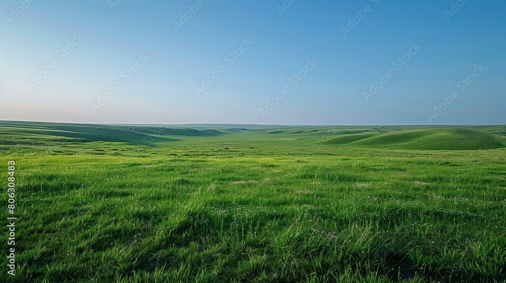 Vast green rolling hills under blue sky