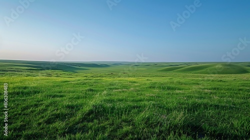 Vast green rolling hills under blue sky