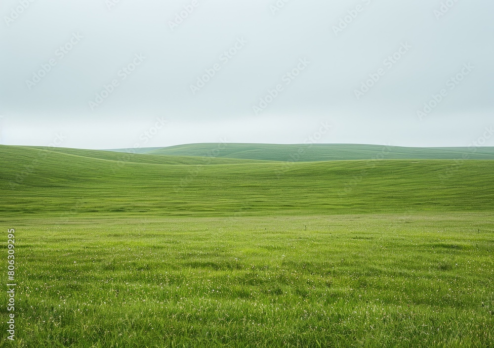 Obraz premium Green rolling hills under a grey sky