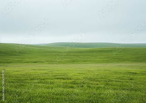 Green rolling hills under a grey sky
