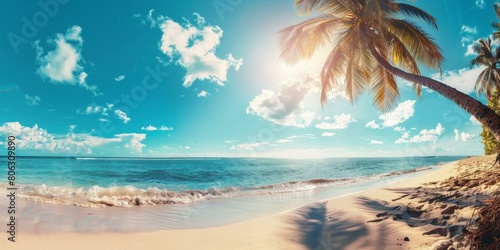 Beach with palm trees and white sand under a blue sky © Adobe Contributor