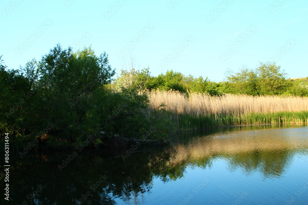 A river with trees and grass