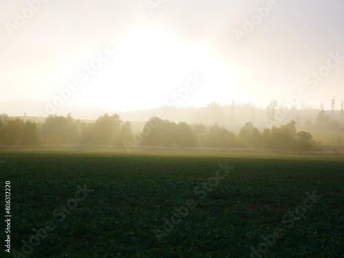 Sunny foggy landscape during autumn day
