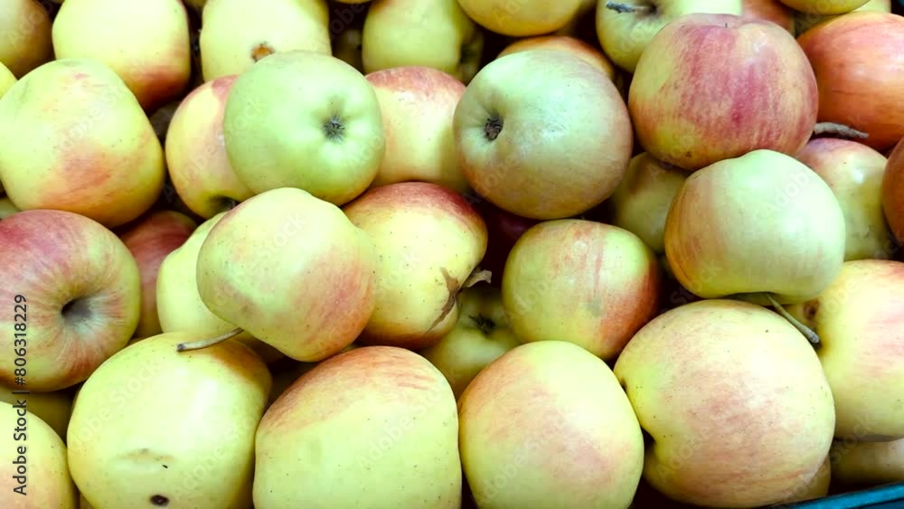 Box filled with fresh natural bio organic red yellow green apples placed on counter in local food market. Close-up Box filled with fresh natural bio organic red yellow green apples placed on counter in local food market. Close-up