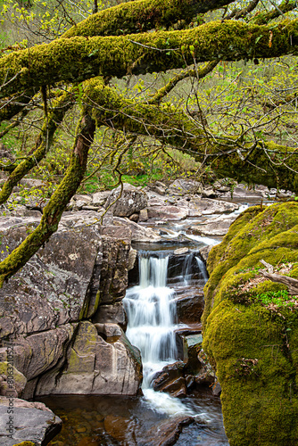 Landscape photograph of Bracklinn waterfall  callander  scotland   serenity  scenery  panorama  water  reservoir  pond  river  stream  boulder  rock  stone  rocky  mountain