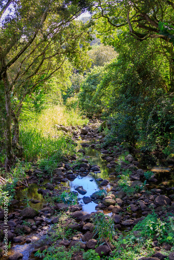 Obraz premium Stream in Waimea Park in Oahu, HI