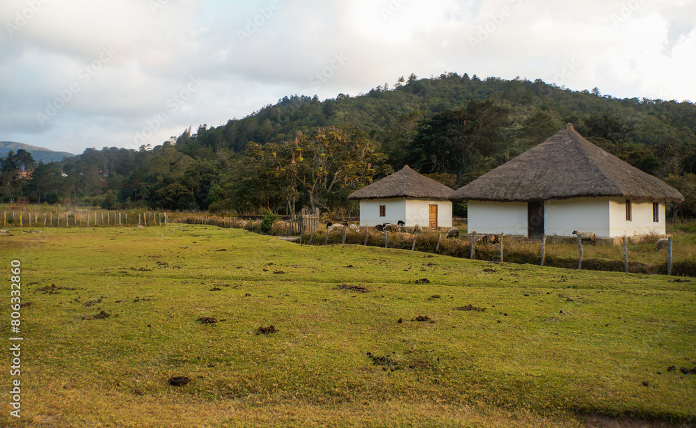 Village houses in Nabusimake, Colombia