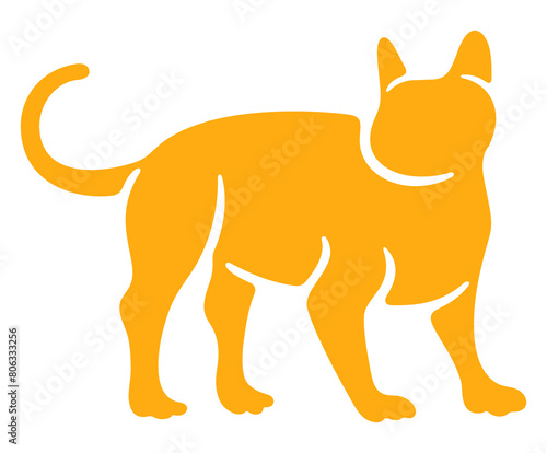 Cat  kitten and cat like  felino. Animal and pet  veterinary and pet store  illustration