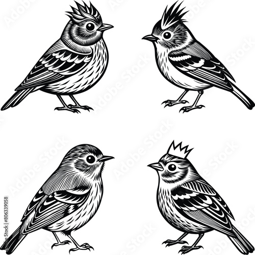 Set of Ruby-Crowned Kinglet vector silhouette 
