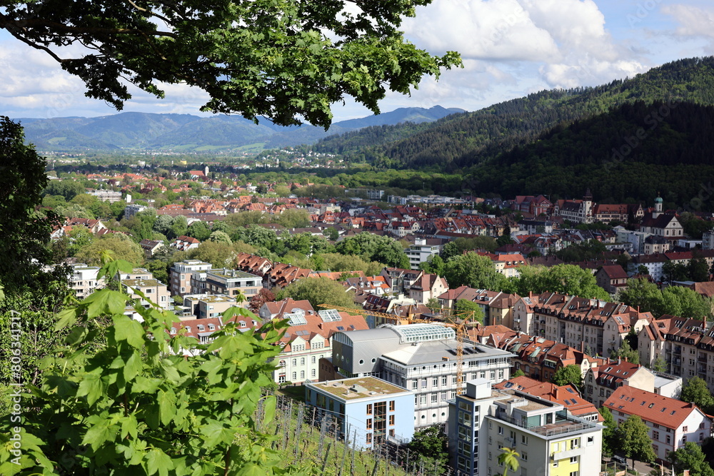 Obraz premium Der Osten von Freiburg im Frühling