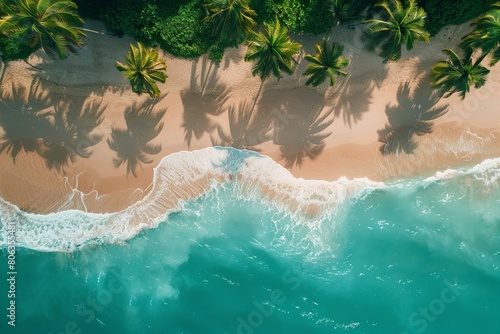 Aerial View of Tropical Beach with Palm Trees and Turquoise Water