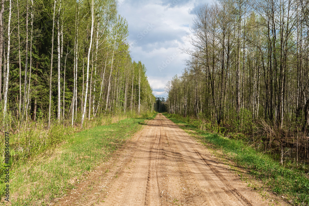 Fototapeta premium A rustic dirt road winds through a dense forest under a cloudstreaked sky, surrounded by lush green plants and towering trees in a natural landscape
