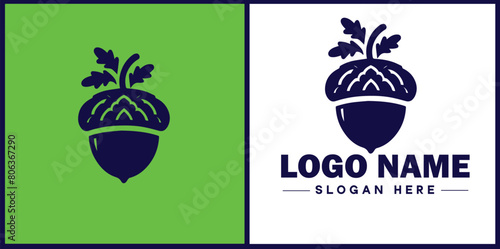 acorn icon Oak nut Acorn nut Acorn seed flat logo sign symbol editable vector