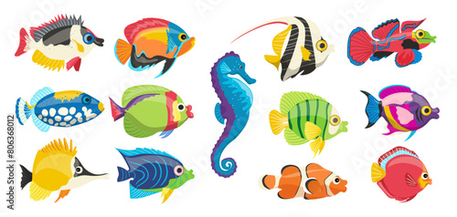 Different kind colorful sea fish, tropical water inhabitant, aquarium animals set isolated on white