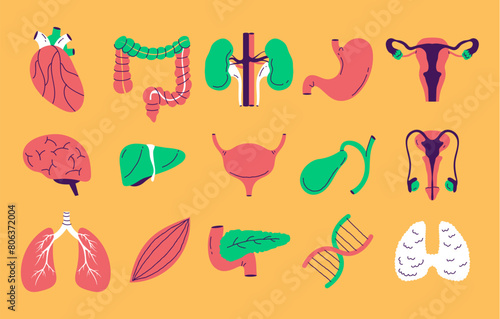 Human internal organs doodle line art style isolated set. Vector graphic design element illustration