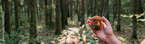 Mushroom in hand against the background of trees in the forest.