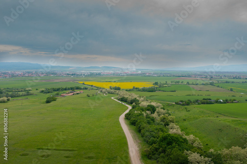 The road to the rapeseed field