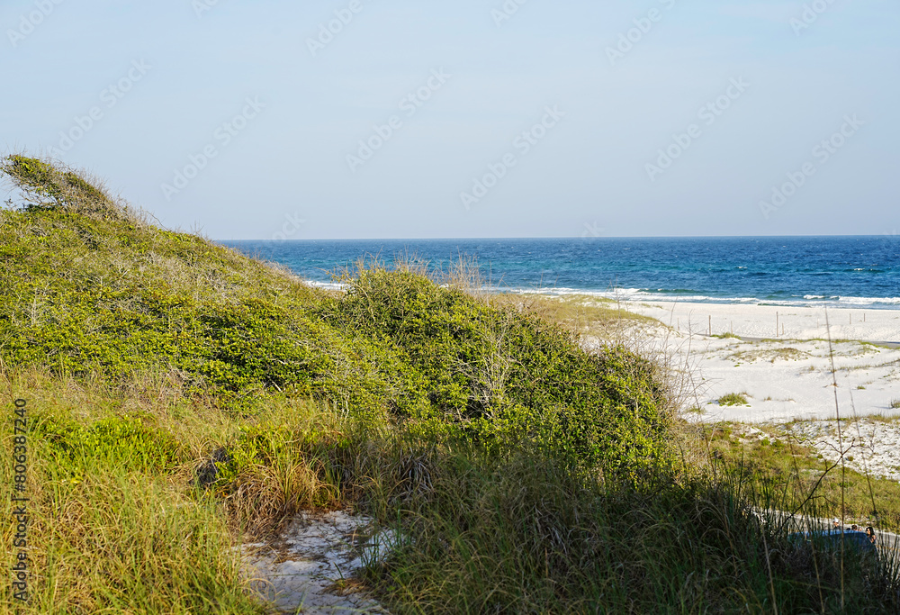 View of the beach from the hiking trail
