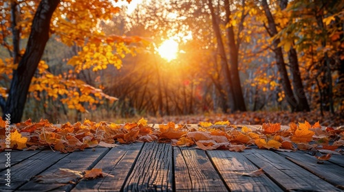 Wooden Bench Covered in Leaves in Forest