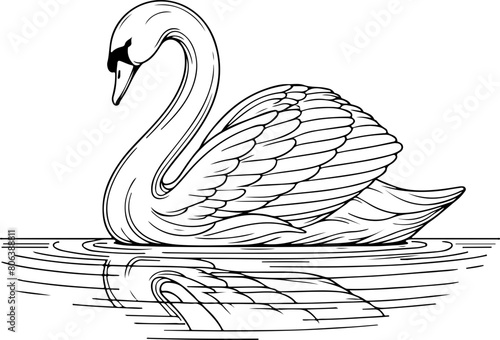 Cygne dans l'eau avec son reflet  - Dessin au trait line art, vecteur noir avec contour isolé fond transparent. Style minimaliste, peut convenir a page de livre de coloriage, journal, agenda, cahier.