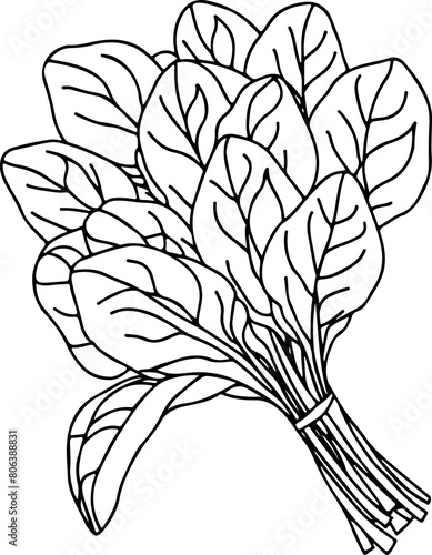 Bouquet - Dessin au trait line art, vecteur noir avec contour isolé fond transparent. Style minimaliste, peut convenir a page de livre de coloriage, journal, agenda, cahier.