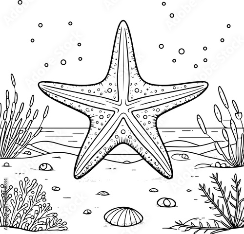 étoile de mer - Dessin au trait line art, vecteur noir avec contour isolé fond transparent. Style minimaliste, peut convenir a page de livre de coloriage, journal, agenda, cahier.