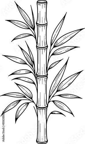 Bambour - Dessin au trait line art, vecteur noir avec contour isolé fond transparent. Style minimaliste, peut convenir a page de livre de coloriage, journal, agenda, cahier.