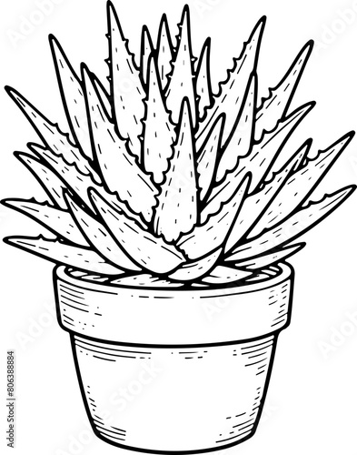 Plante dans son pot - Dessin au trait line art, vecteur noir avec contour isolé fond transparent. Style minimaliste, peut convenir a page de livre de coloriage, journal, agenda, cahier.