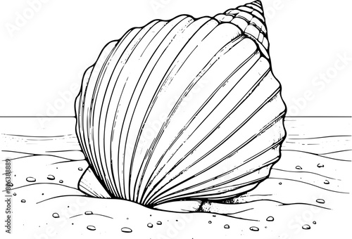 Coquillage sur le sable - Dessin au trait line art, vecteur noir avec contour isolé fond transparent. Style minimaliste, peut convenir a page de livre de coloriage, journal, agenda, cahier.