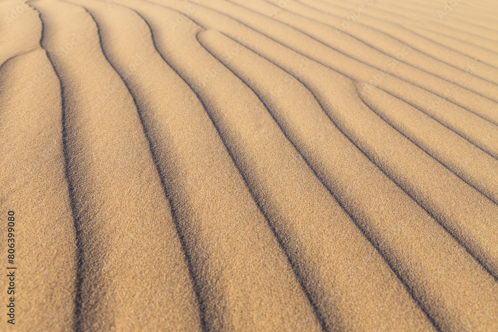 Dune texture creating harmonic patterns with lots of copy space in fine details Dune texture creating harmonic patterns with lots of copy space in fine details