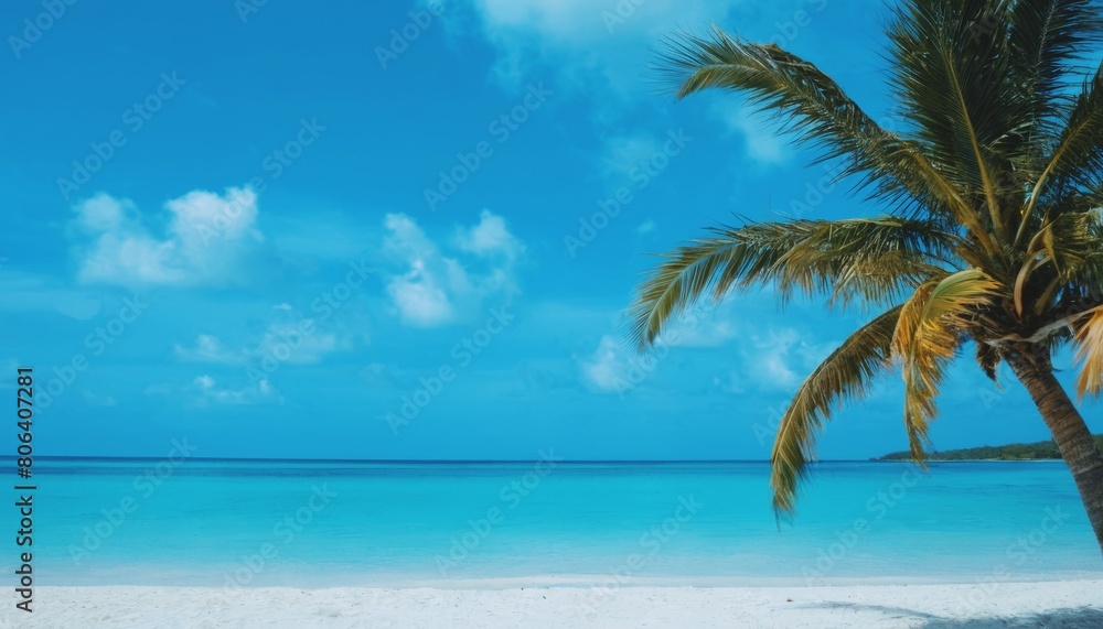 palm tree on the beach against the blue sky, summer paradise, seaside holiday, travel, sunny day