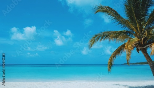 palm tree on the beach against the blue sky, summer paradise, seaside holiday, travel, sunny day